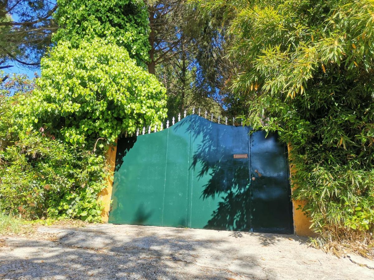 Finca Rural Labriega Del Hueznar Cazalla de la Sierra Extérieur photo